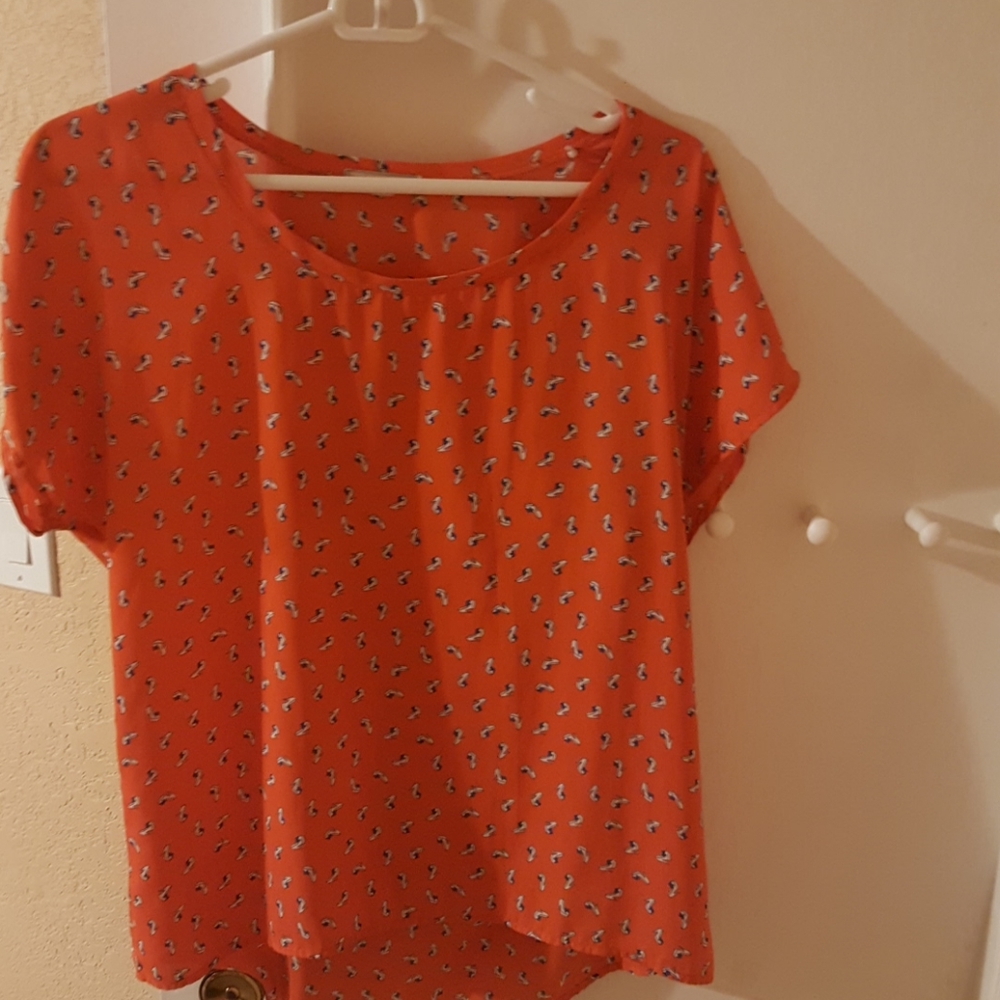 Nordstrom Pleione Orange top
